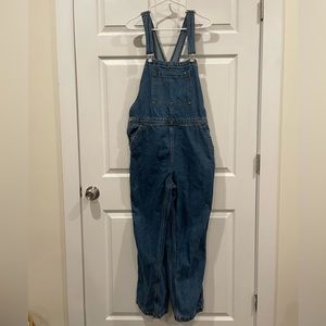 Everlane Blue Denim Overalls